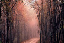 北青:伊万近期向足协汇报工作,国足需尽快敲定6月生死战备战计划.