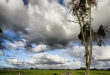 [CBA]徐杰快速反击 躲开赵继伟空中拉杆命中.