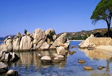 北青:伊万近期向足协汇报工作,国足需尽快敲定6月生死战备战计划.